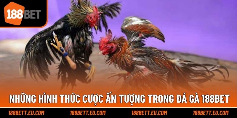 Hình thức cược đa dạng giúp trực tiếp đá gà hấp dẫn